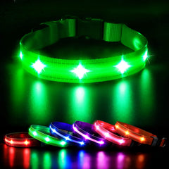 MASBRILL Collar LED para perro en la noche con visibilidad alta para paseos seguros