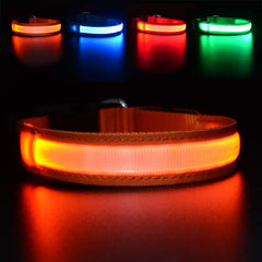 MASBRILL collar LED para perro, ideal para paseos nocturnos con alta visibilidad.