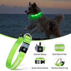 MASBRILL Collar LED con tres modos de iluminación para cualquier entorno
