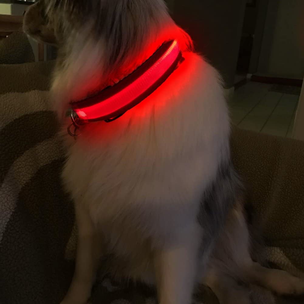 MASBRILL LED collar para perros: visibilidad durante paseos nocturnos.