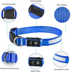 MASBRILL Collar LED resistente al agua para uso en todo clima.