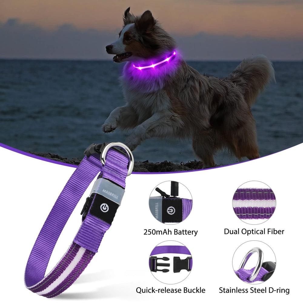 MASBRILL collar LED, tres modos de iluminación para mayor visibilidad.