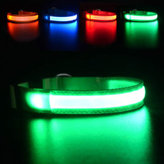 Masbrill LED Collar visibilidad para paseos nocturnos seguros