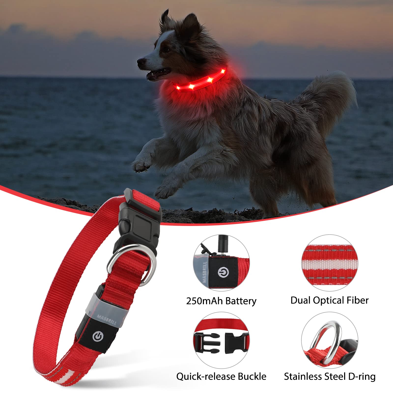 MASBRILL collar luminoso para perros, diseño ajustable para distintas razas.
