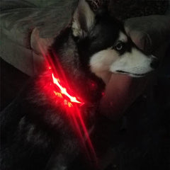 MASBRILL collar luminoso para perros, recargable y listo para salidas largas.