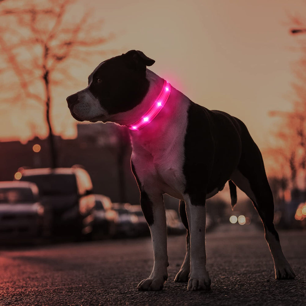MASBRILL collar LED de poliéster suave para mayor comodidad.