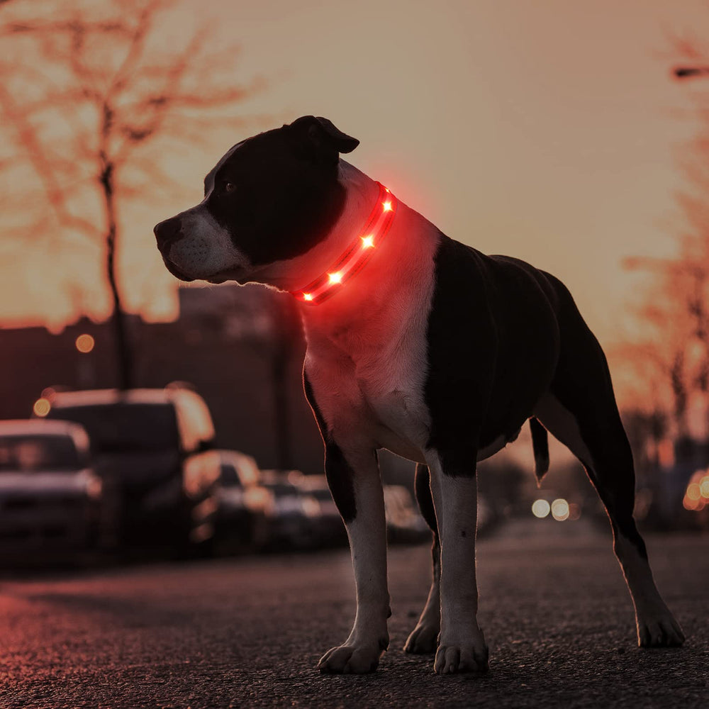 MASBRILL correa LED ideal para camping y caminatas nocturnas.