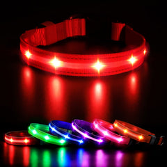 MASBRILL correa LED para perros, visibilidad nocturna de hasta 300 m, paseos más seguros.