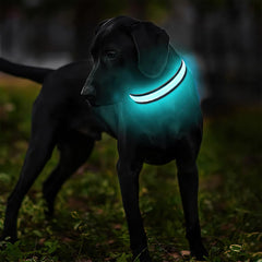 MASBRILL collar LED con tres modos de iluminación para distintas situaciones.