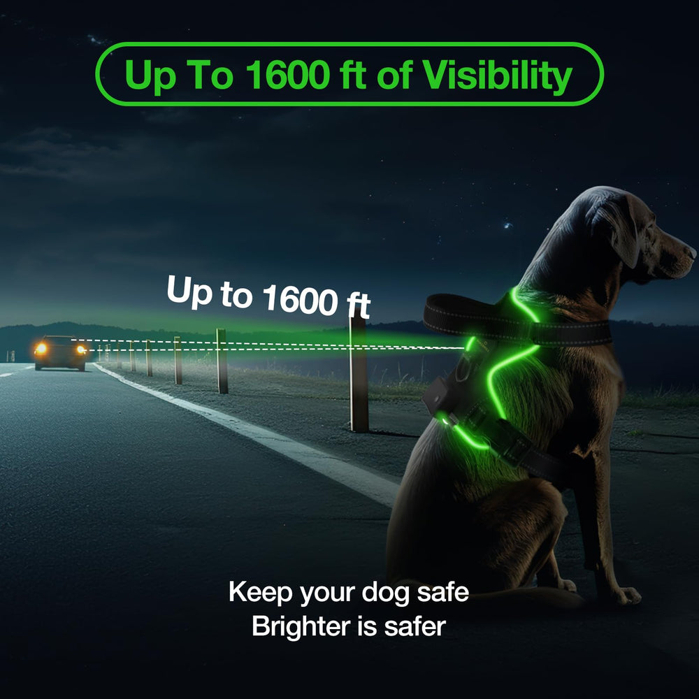 MASBRILL arnés luz apto para perros de múltiples tallas