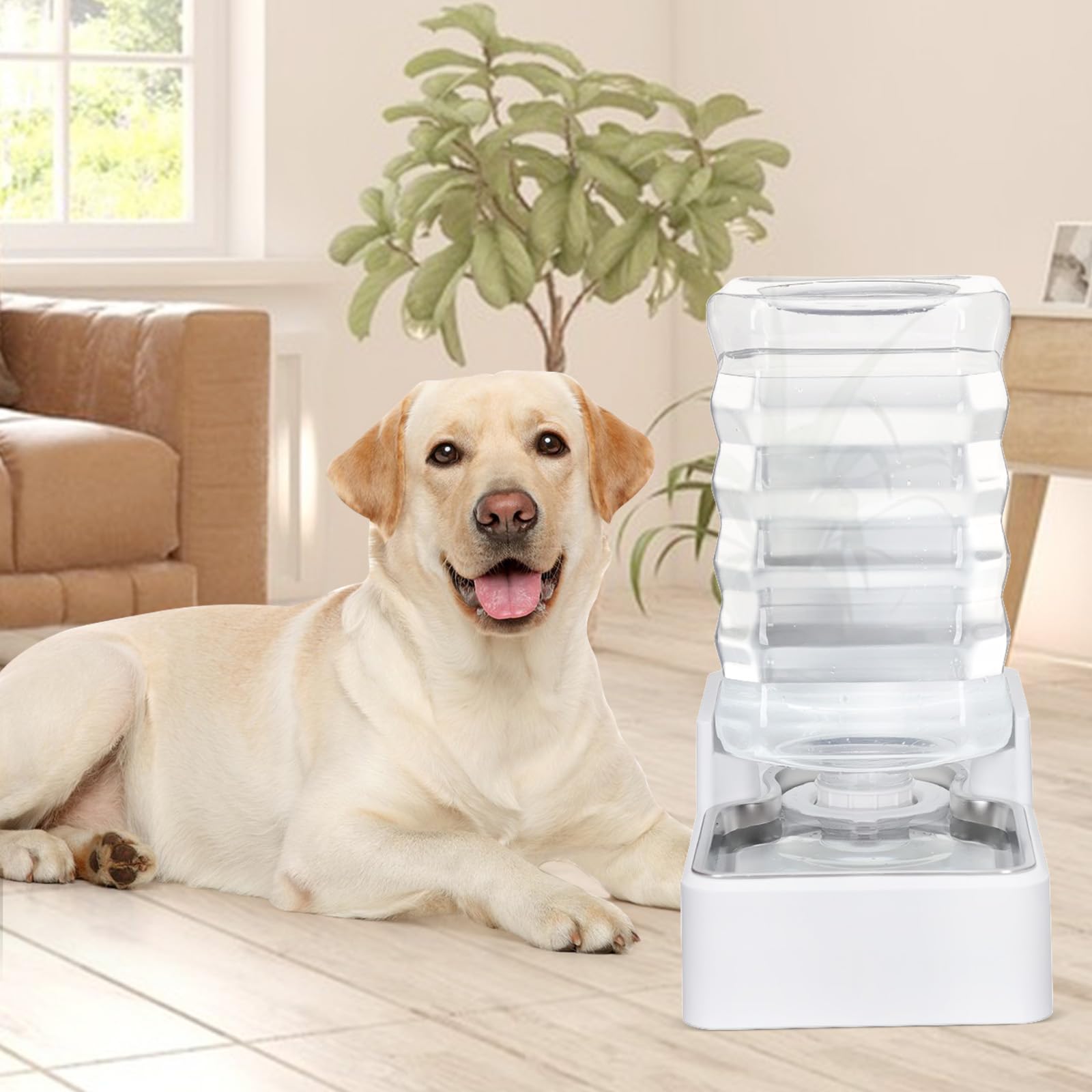MASOCIST dispensador fácil de limpiar, desarma rápido.