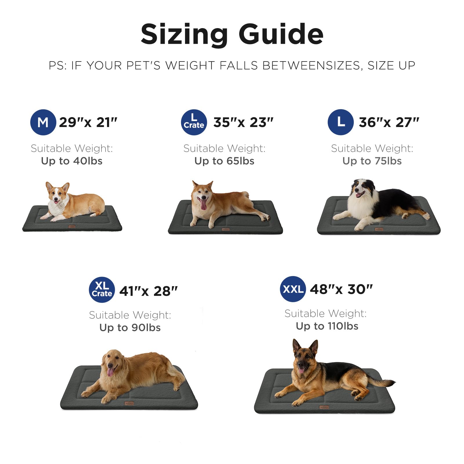 MASSFU tamaño mediano 35x23, perfecto para perros de tamaño medio.