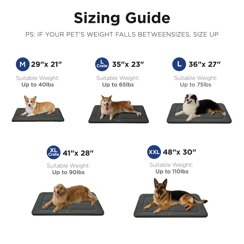 MASSFU tamaño mediano 35x23, perfecto para perros de tamaño medio.