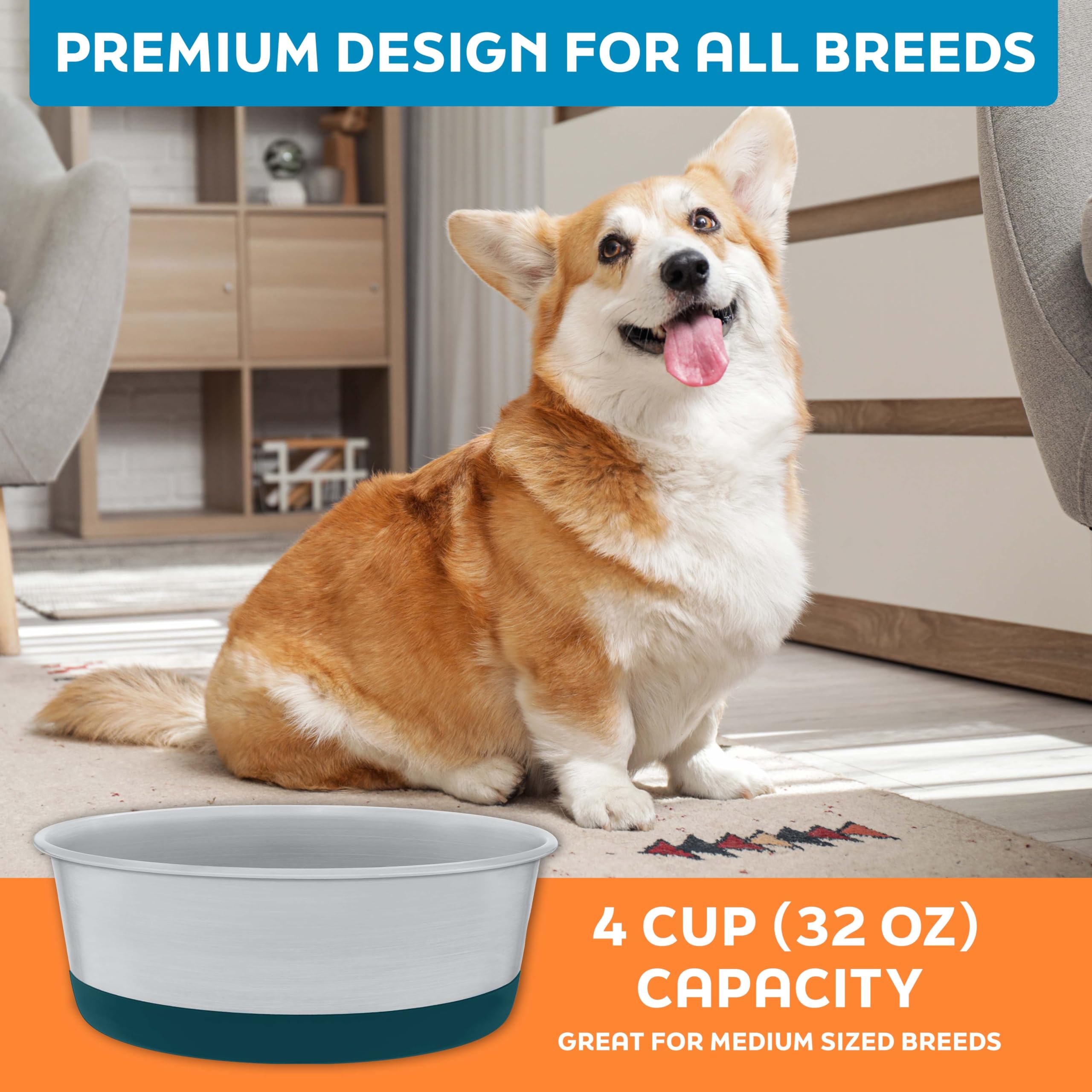 Master Pet Supply diseño moderno Emerald Sea que complementa la decoración