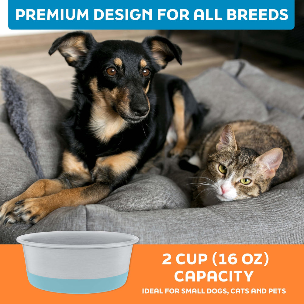 Limpieza rápida con los tazones Master Pet Supply, tecnología anti-holgura.