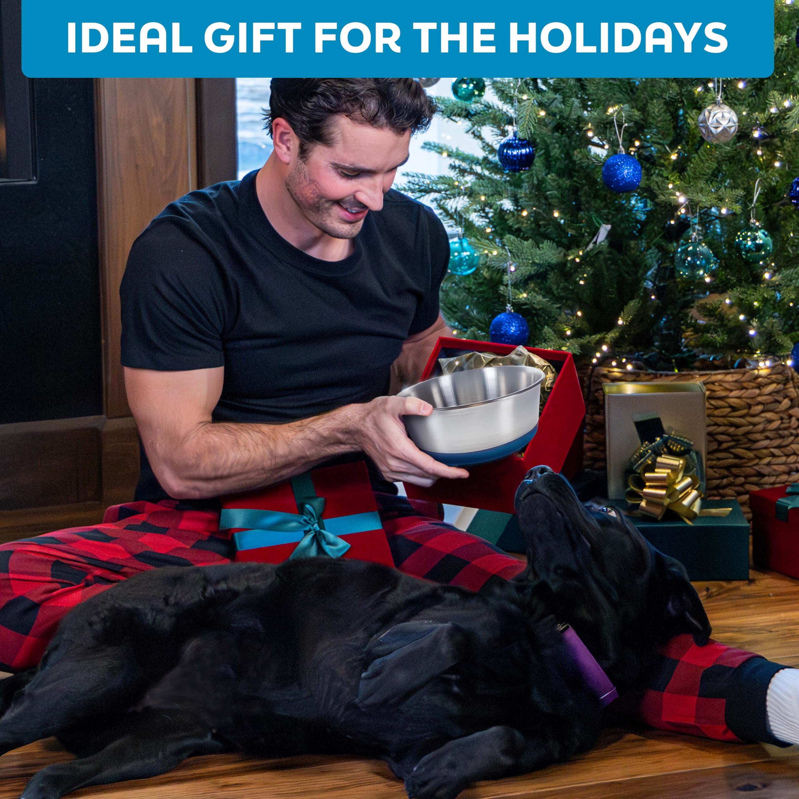 Master Pet Supply: ideal para perros y gatos, apoyo duradero en alimentación diaria.