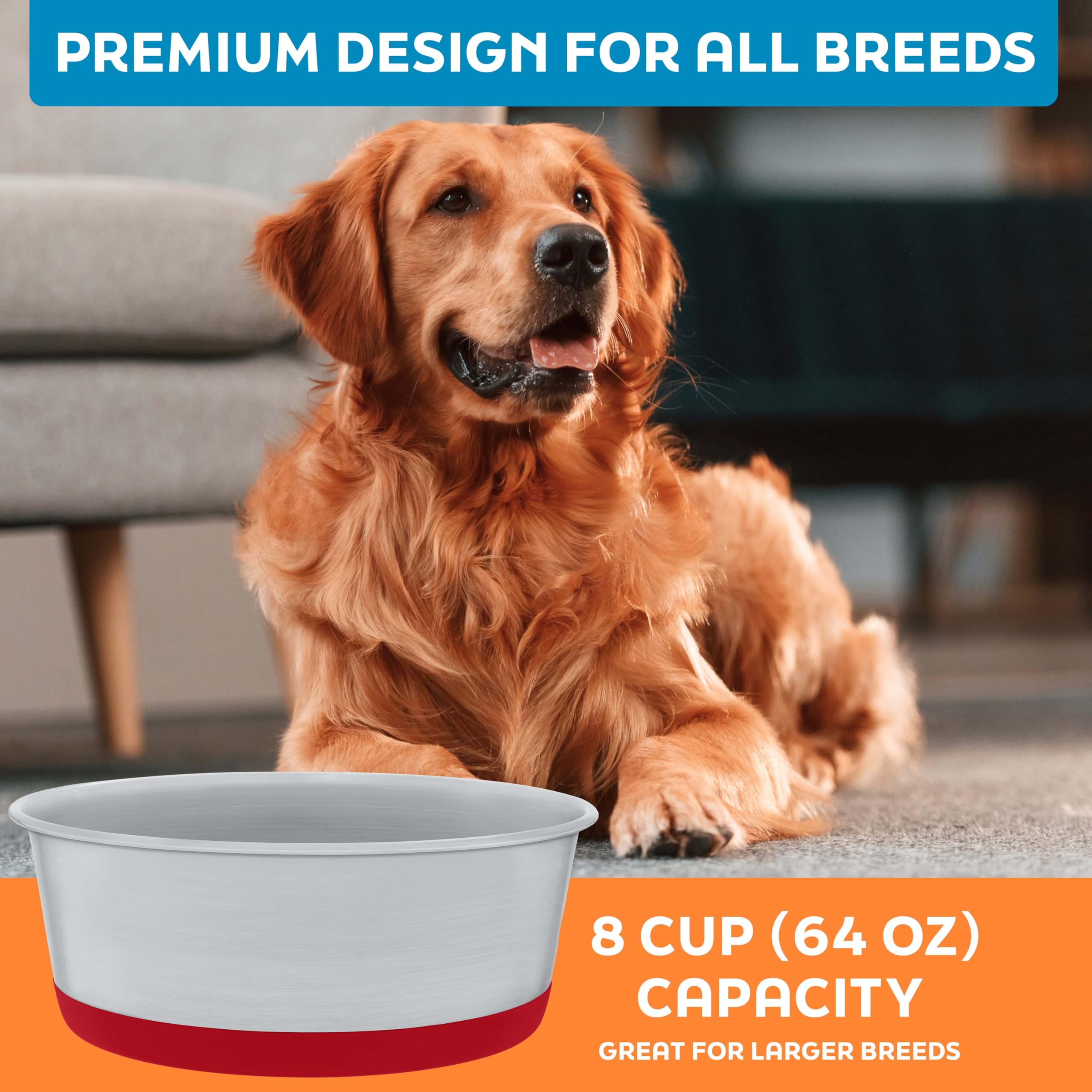 Juego de dos tazones Master Pet Supply para perros y gatos.