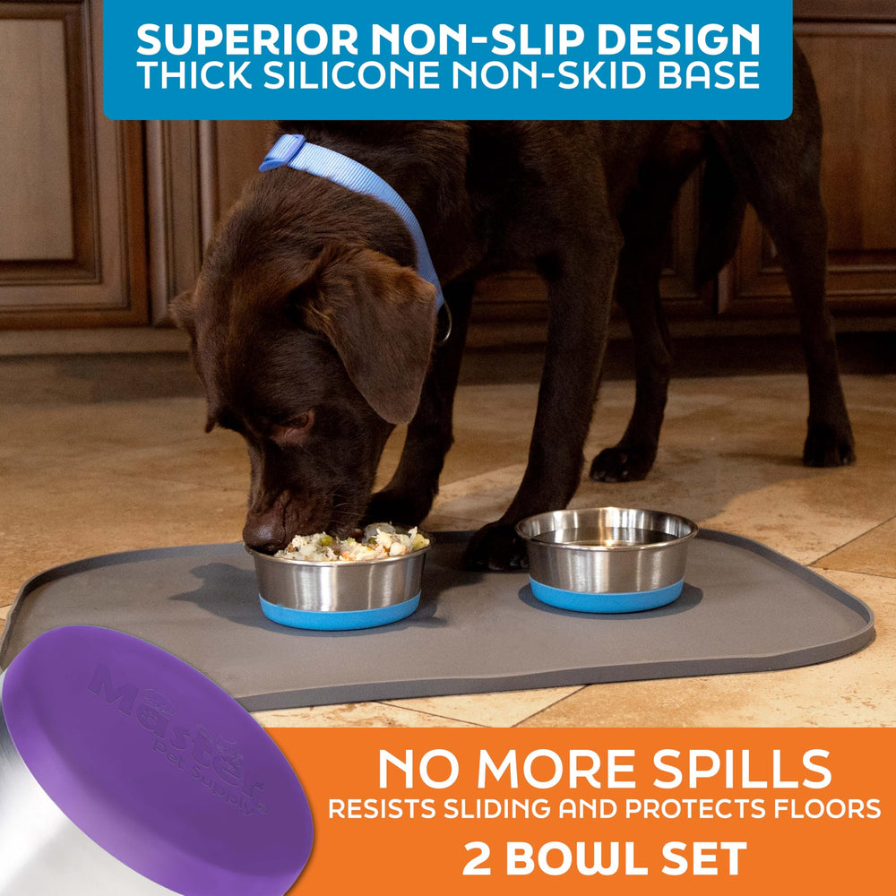 Uso interior y exterior de cuencos Master Pet Supply de acero inoxidable