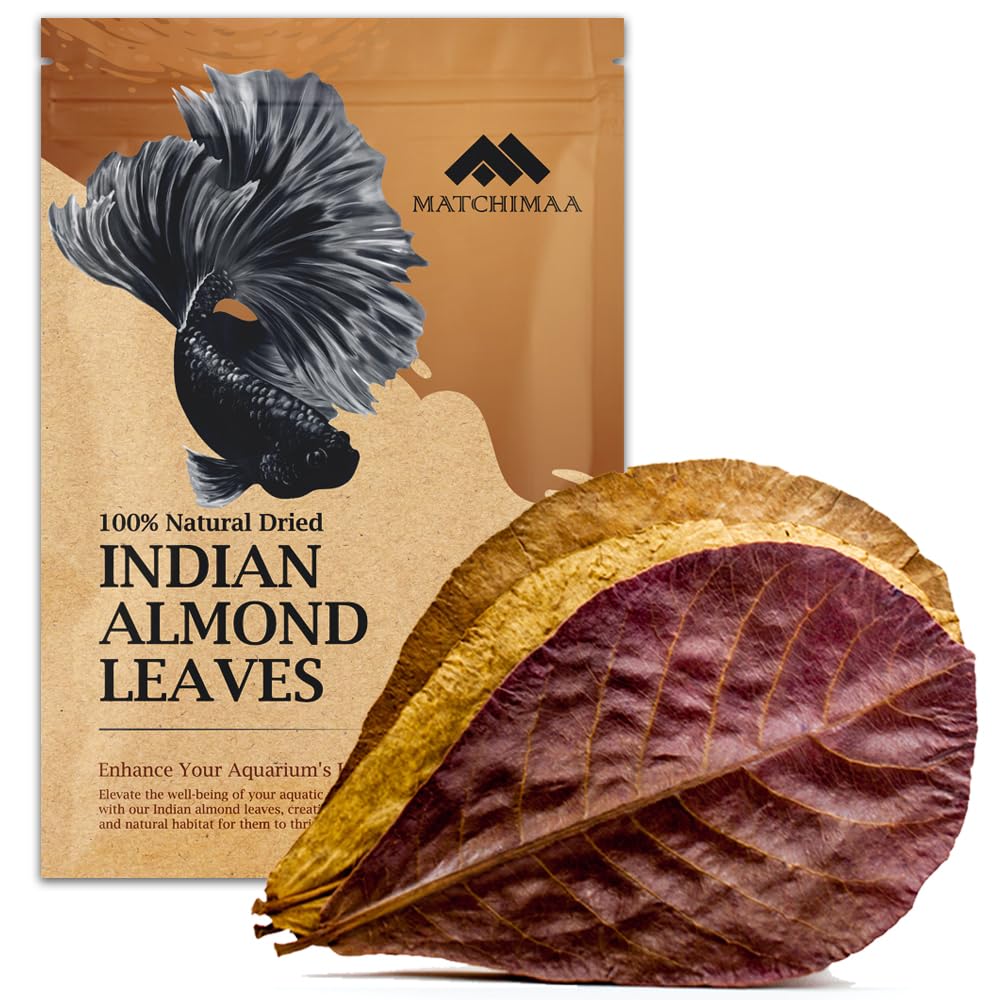 MATCHIMAA empaque de 50 g de hojas de almendra india para acuario, favorece un entorno natural