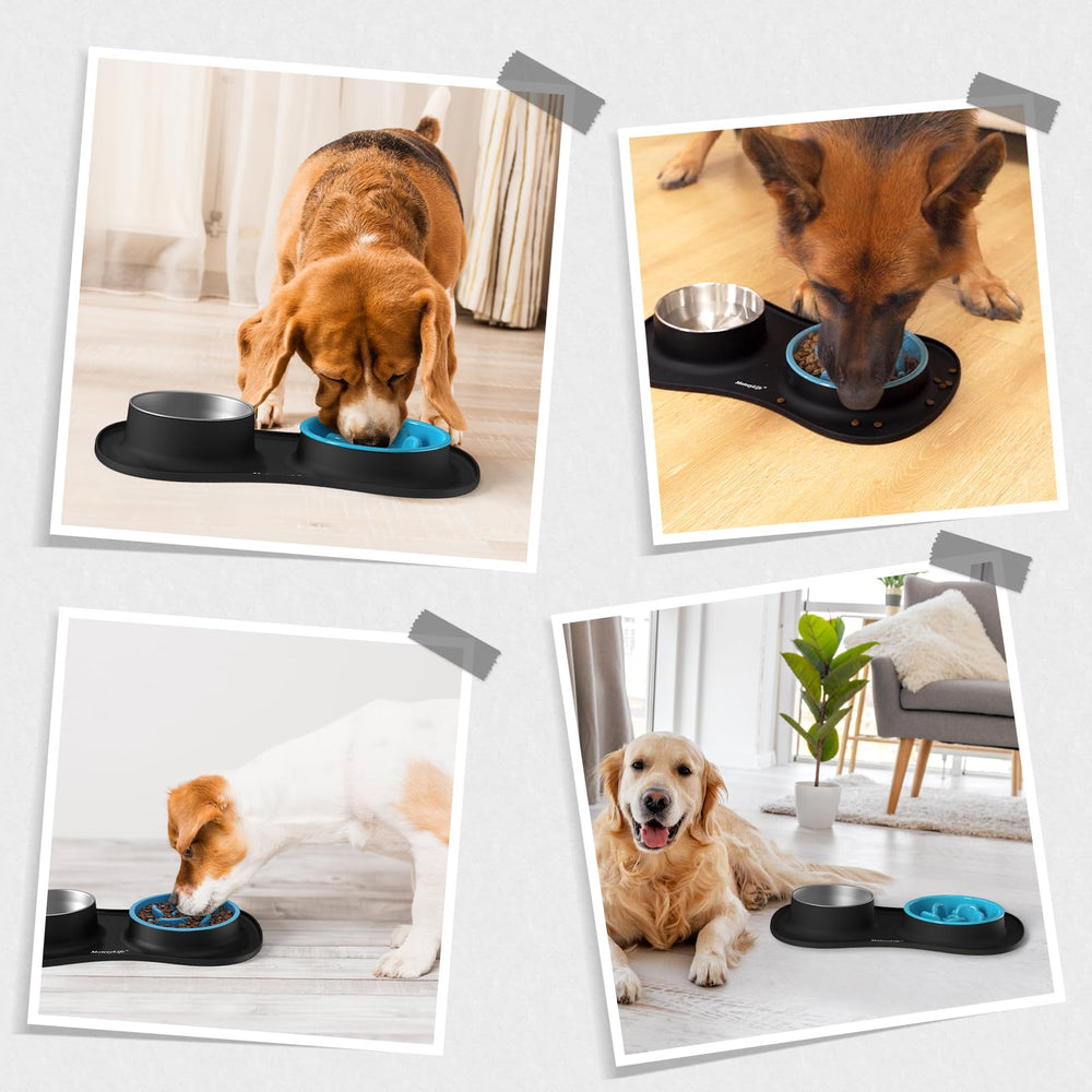 MateeyLife: ideal para espacio compartido entre perros y gatos.