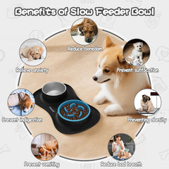 MateeyLife: tazon alimentacion lenta para perros ayuda a comer despacio.