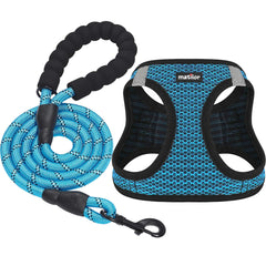 Arnés Matilor para perro con malla de aire, ligero y transpirable para paseos cómodos.