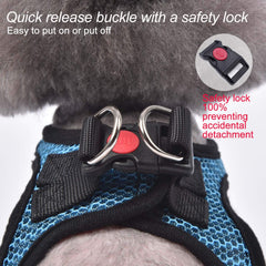 Arnés Matilor de malla aire cómodo, ideal para perros pequeños durante caminatas