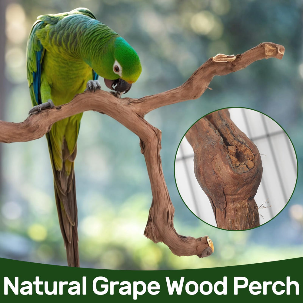 Matutinus percha natural de madera para pajaros pequenos, agarre cómodo.