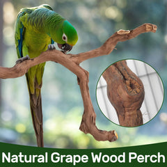 Matutinus percha natural de madera para pajaros pequenos, agarre cómodo.