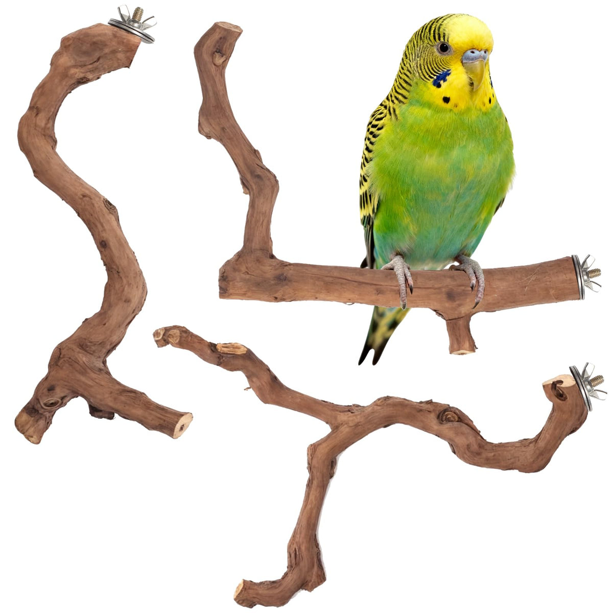 Matutinus percha con ramas de vid naturales para aves, opción segura y natural