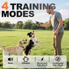 Mawrpet collar IPX7 impermeable para cualquier clima y actividad.