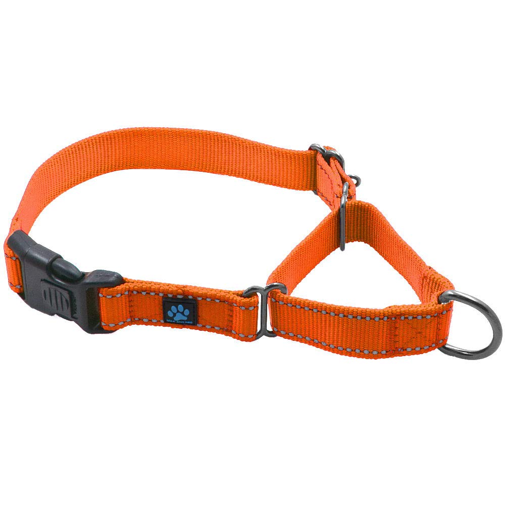 Max and Neo collar martingale naranja con cierre seguro para paseos controlados