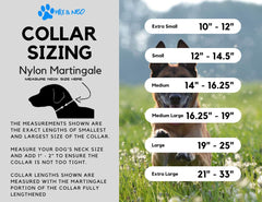 Max and Neo collar martingale con porta-etiquetas para identificación rápida.
