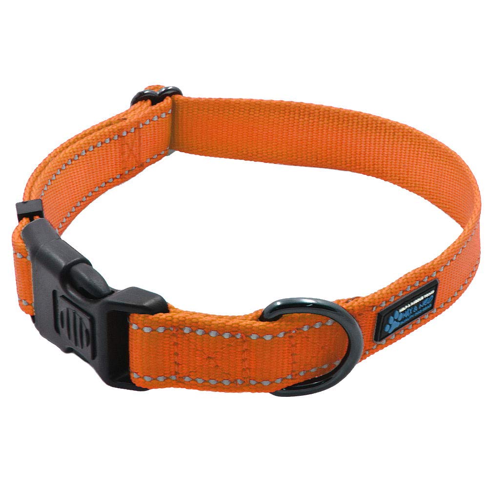 Max and Neo collar nylon con hebilla reflectante para mayor visibilidad.