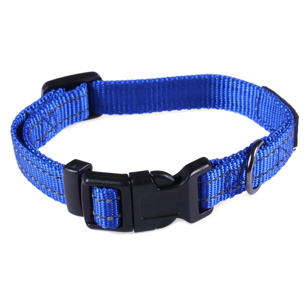 Max and Neo collar nylon con hebilla reflectante en azul XS, ideal para paseos nocturnos