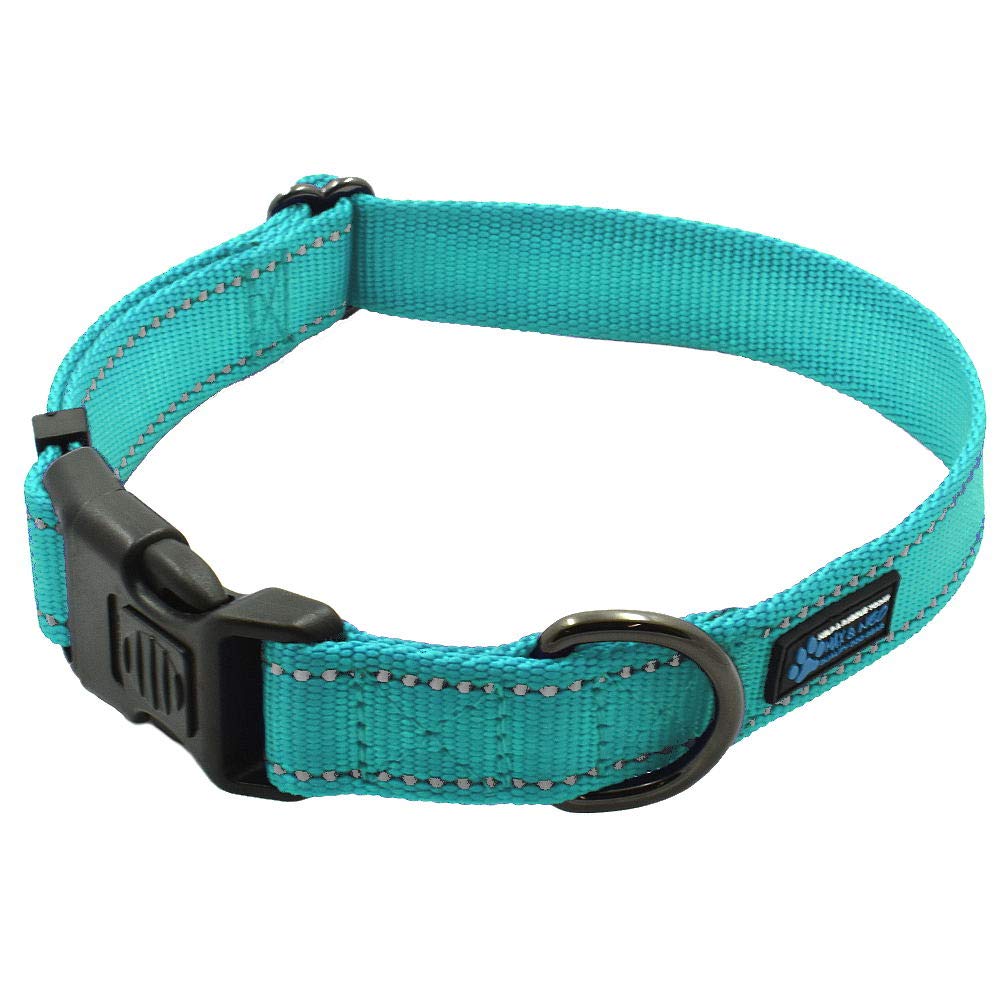 Collar Max and Neo de nylon reflectivo en turquesa, ideal para paseos nocturnos y mejor visibilidad.
