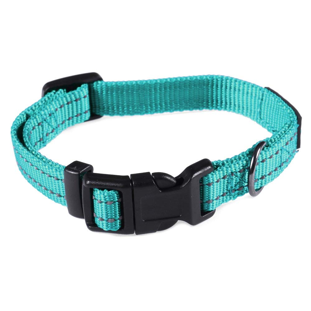 Collar Max and Neo turquesa de nylon con reflectante para mayor visibilidad.