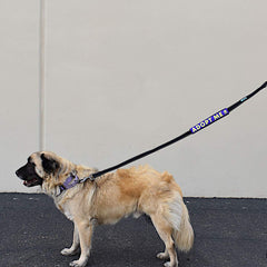 Max and Neo dona 1 por 1, apoyando rescates con cada compra.