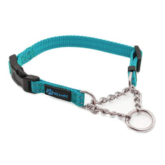Max and Neo collar martingale de acero inoxidable turquesa para paseos nocturnos.