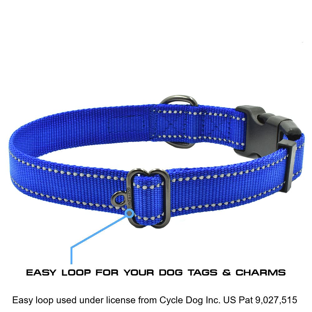 Collar Max y Neo con anilla en D anodizada para sujeción fiable.