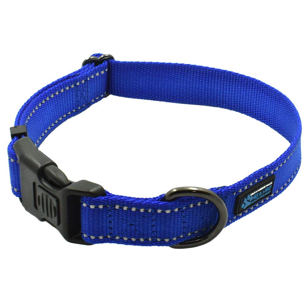 Collar Max y Neo NEO de nylon con hebilla reflectante, ideal para caminatas nocturnas seguras.