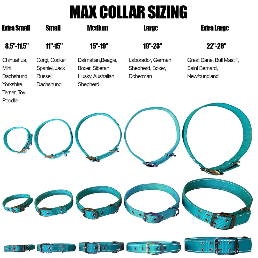Costuras reflectantes alrededor del collar Max y Neo para mayor visibilidad nocturna.