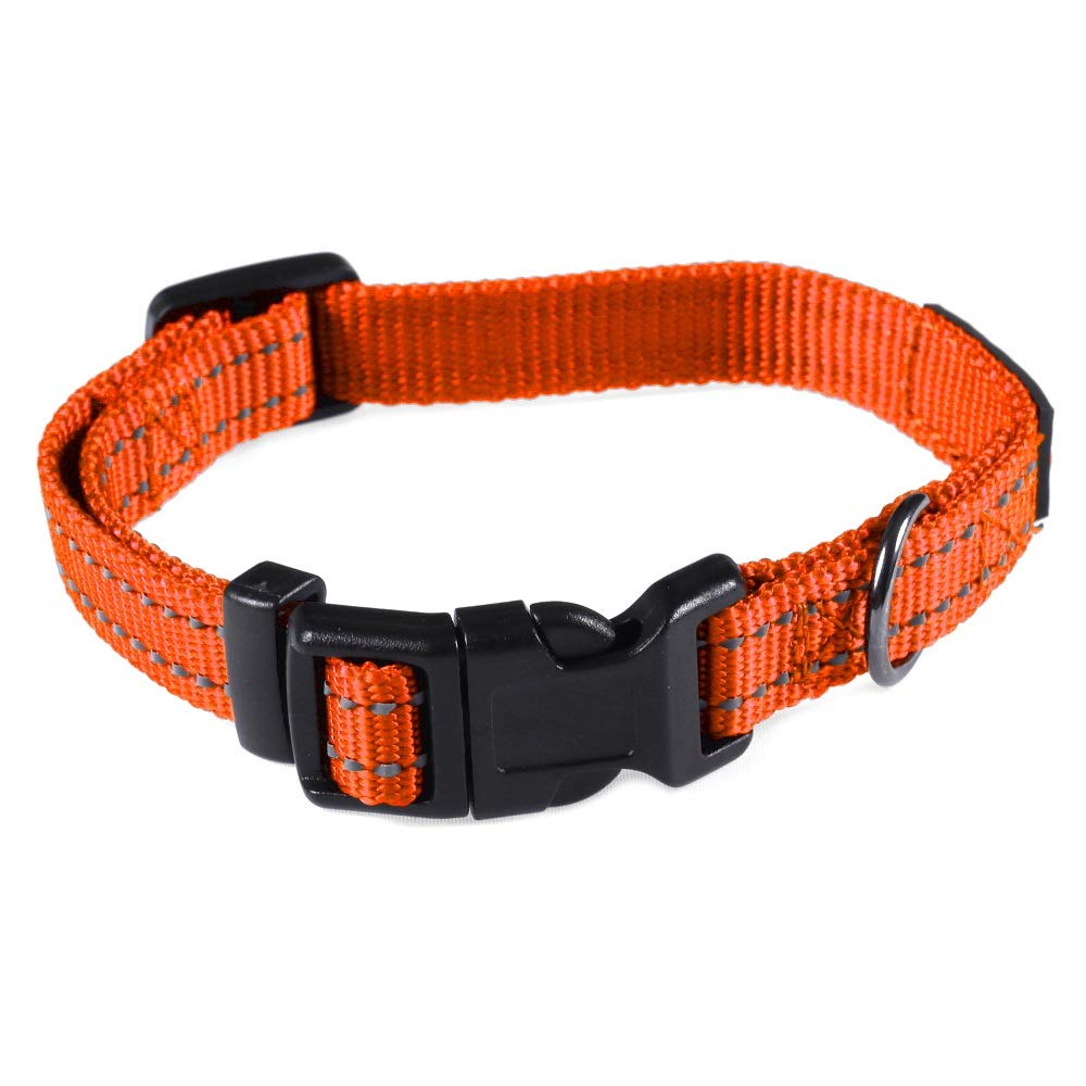 Hebilla resistente del collar Max y Neo para uso diario y seguridad.
