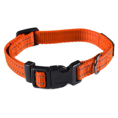 Hebilla resistente del collar Max y Neo para uso diario y seguridad.