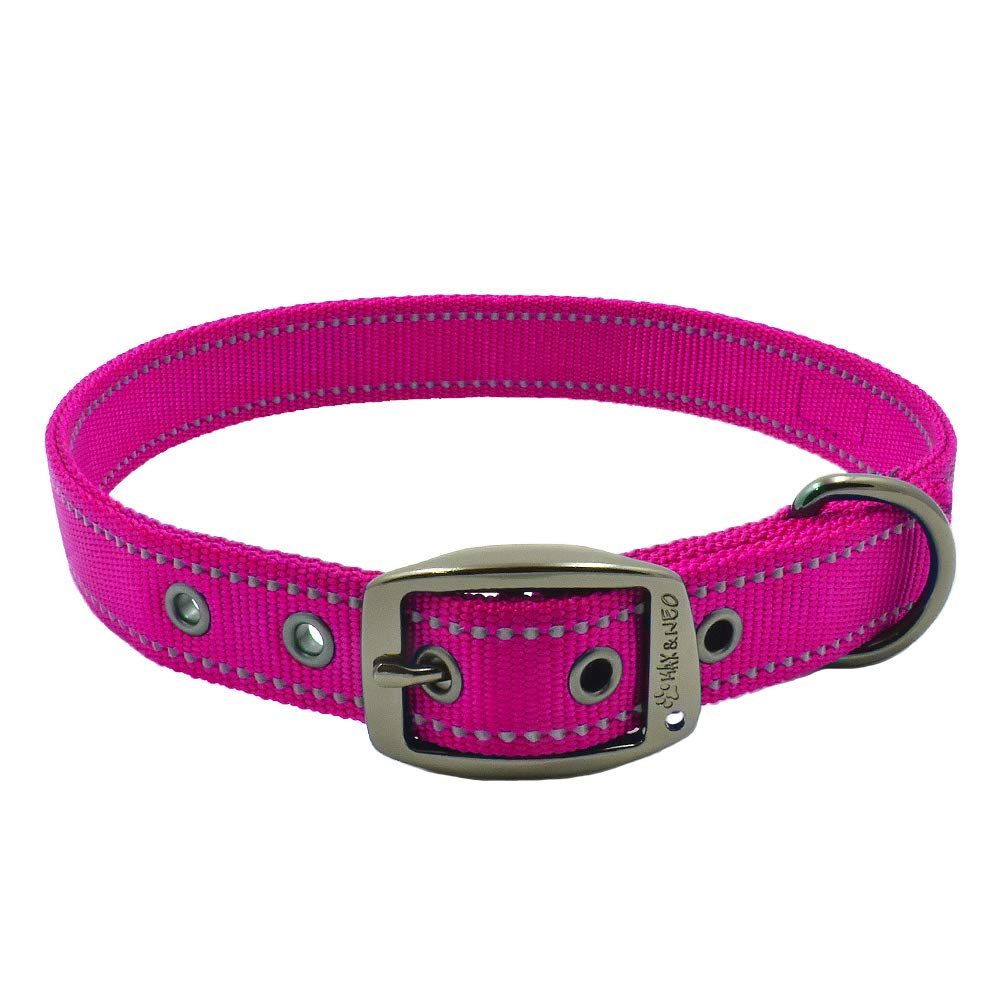 Max and Neo collar para perros con hebilla metálica y reflejo para paseos nocturnos.