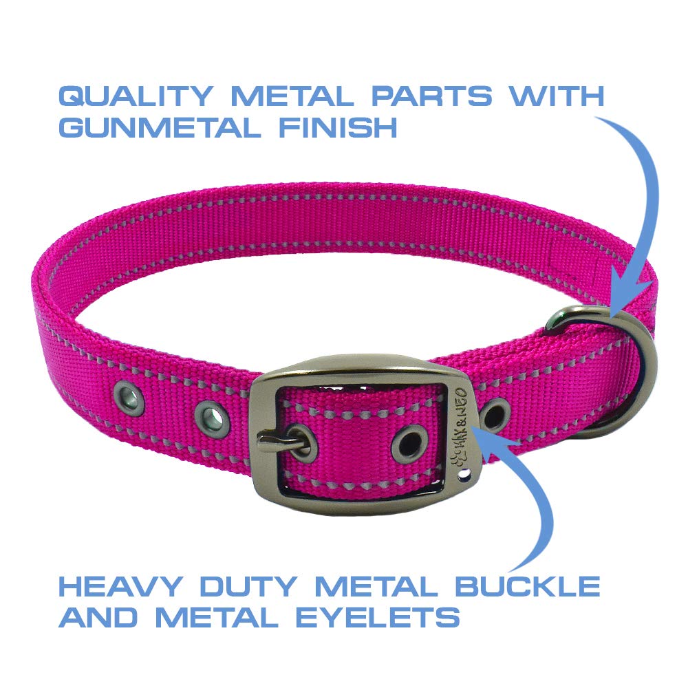 Max and Neo collar con visibilidad nocturna para caminatas seguras.