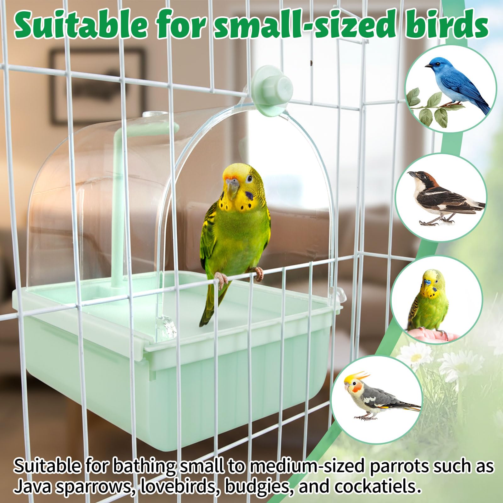 Maxdot plastico no toxico garantiza cuidado seguro para aves.