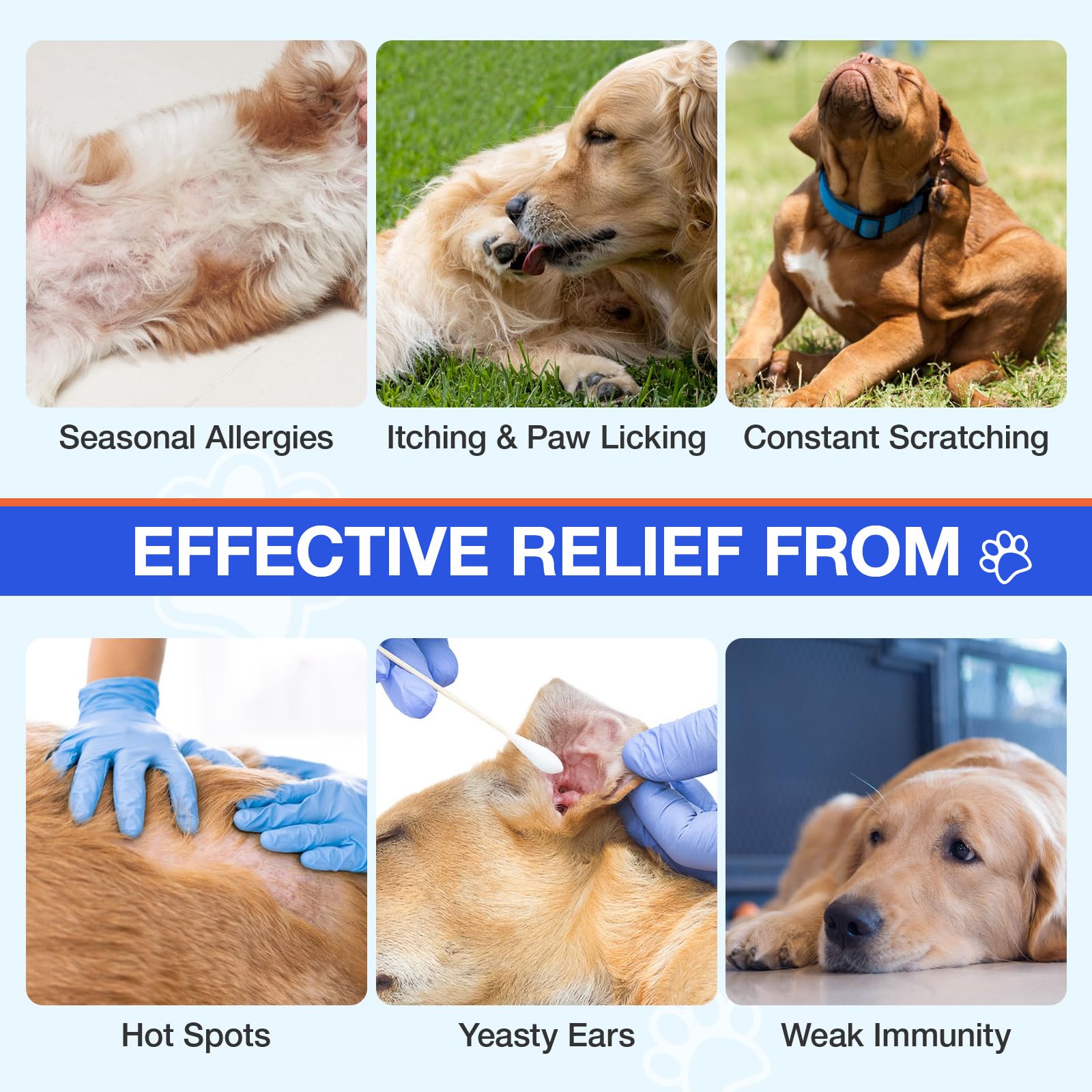 MaxHemp Alergias para perros: dosis diaria para apoyo constante