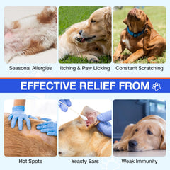 MaxHemp Alergias para perros: dosis diaria para apoyo constante
