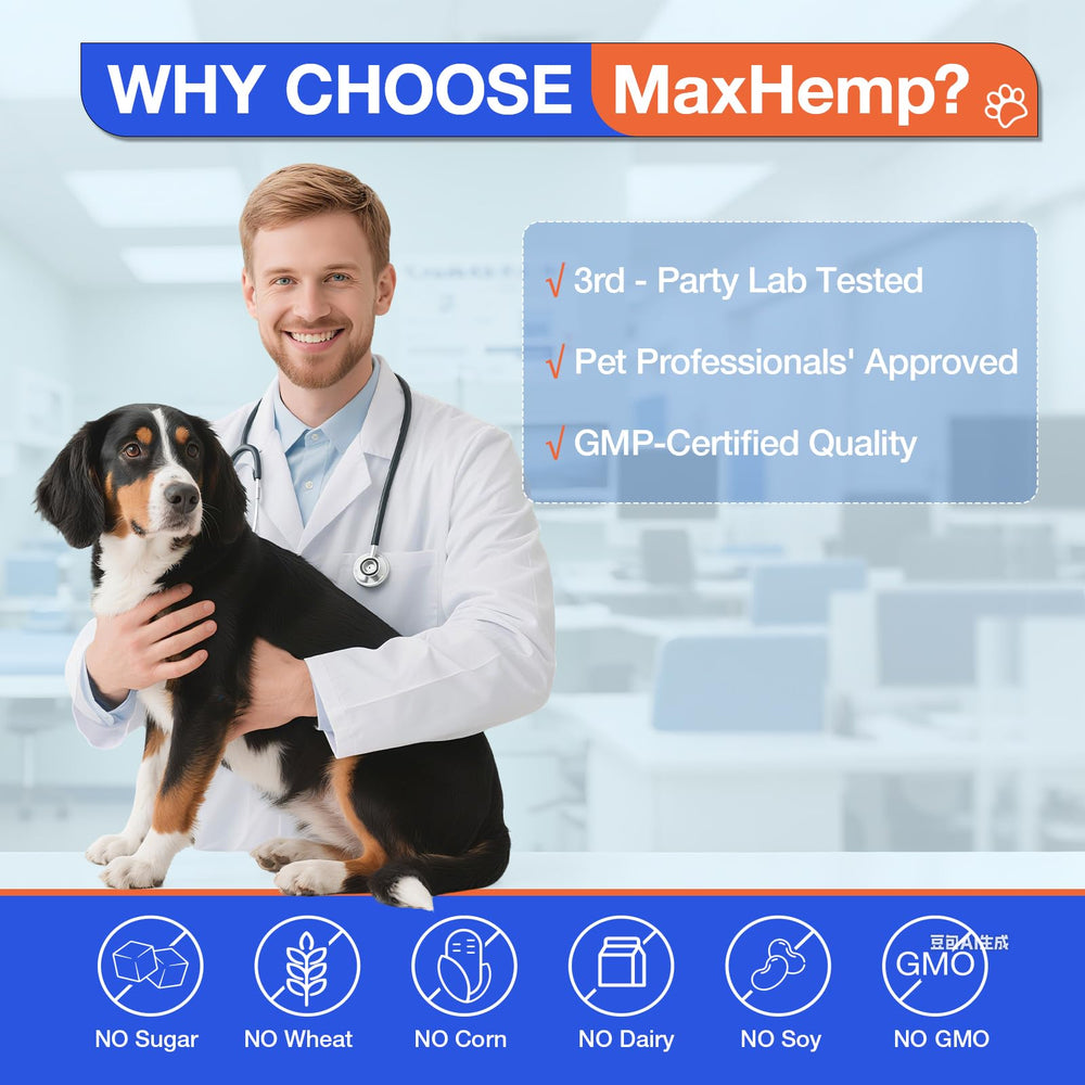 MaxHemp Alergias para perros: sabor agradable para uso diario